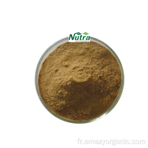 Poudre d&#39;extrait de racine de maca biologique